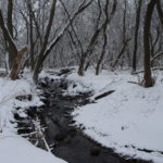 Starkweather Creek in winter