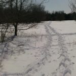 Snowshoeing at The Speckled Hen Inn