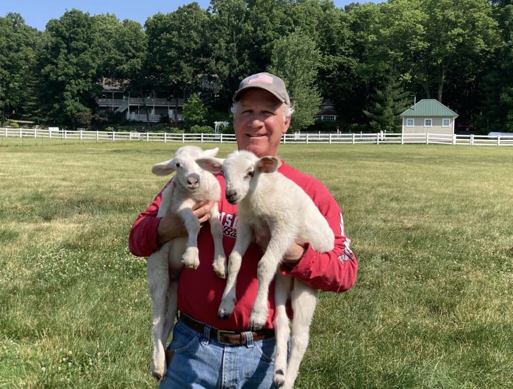 Tom with Lambs June 2023